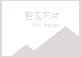 阜新细河字迹设计有限公司